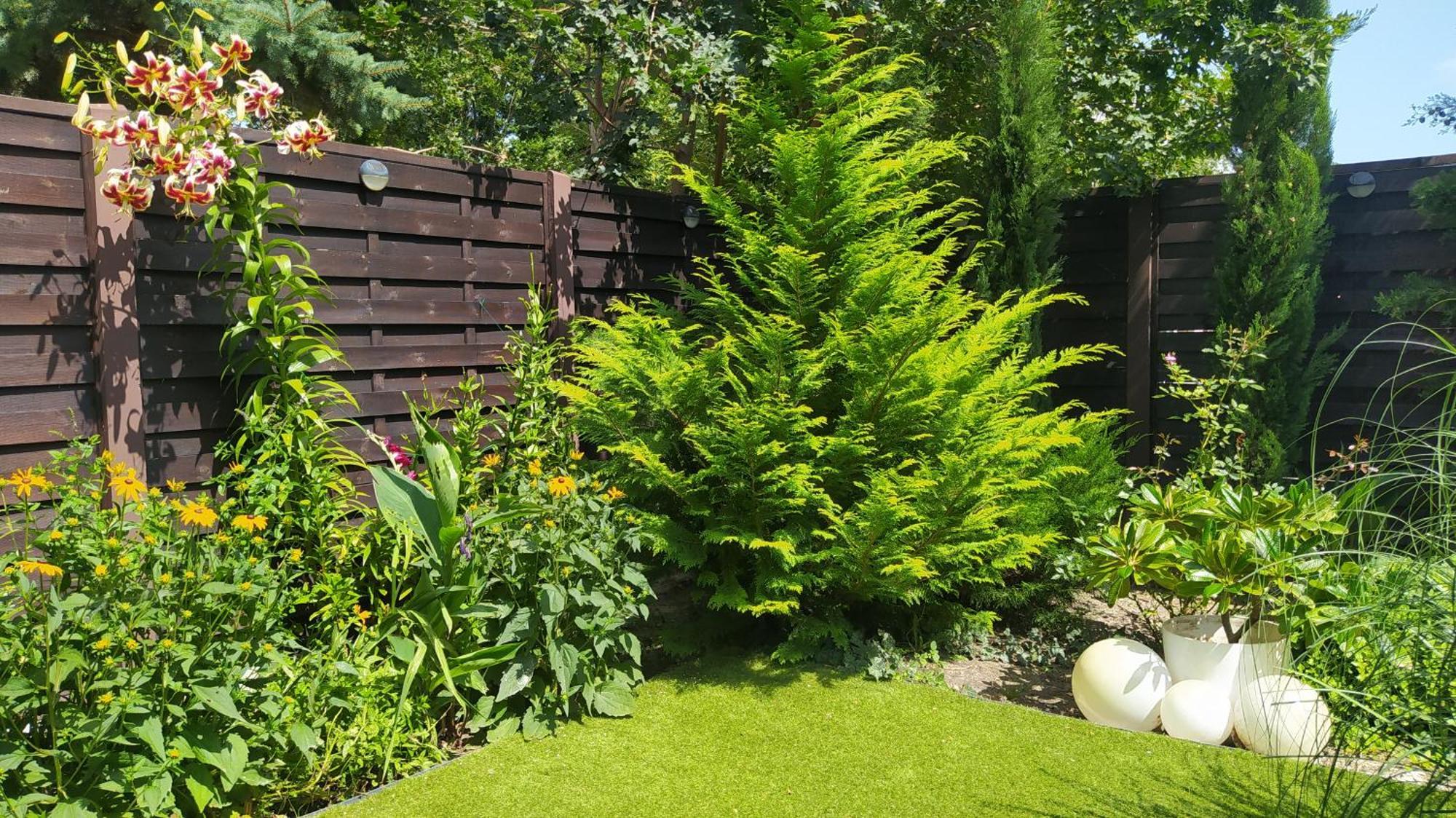 Thermal Garden Mosonmagyaróvár 外观 照片