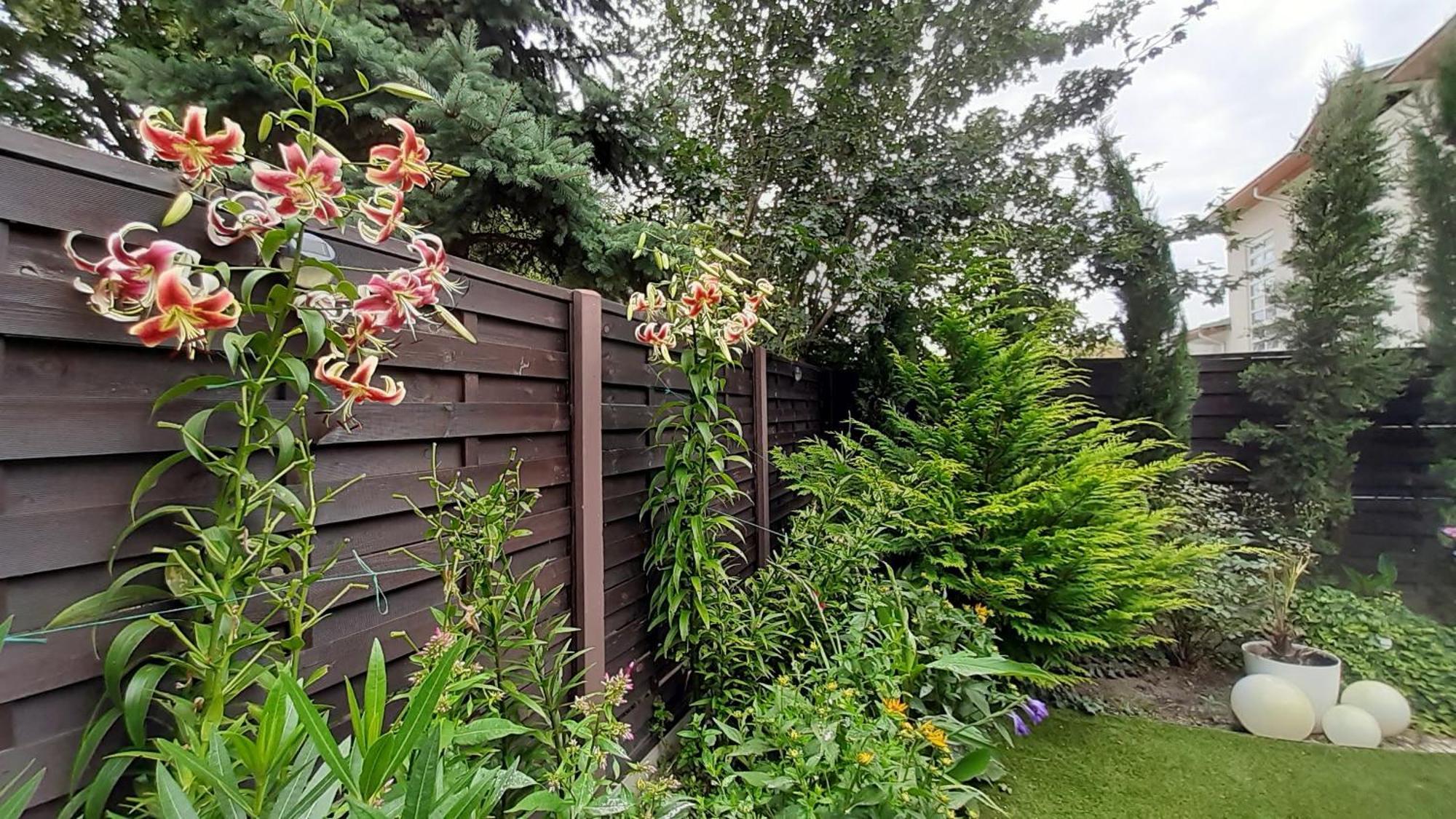 Thermal Garden Mosonmagyaróvár 外观 照片